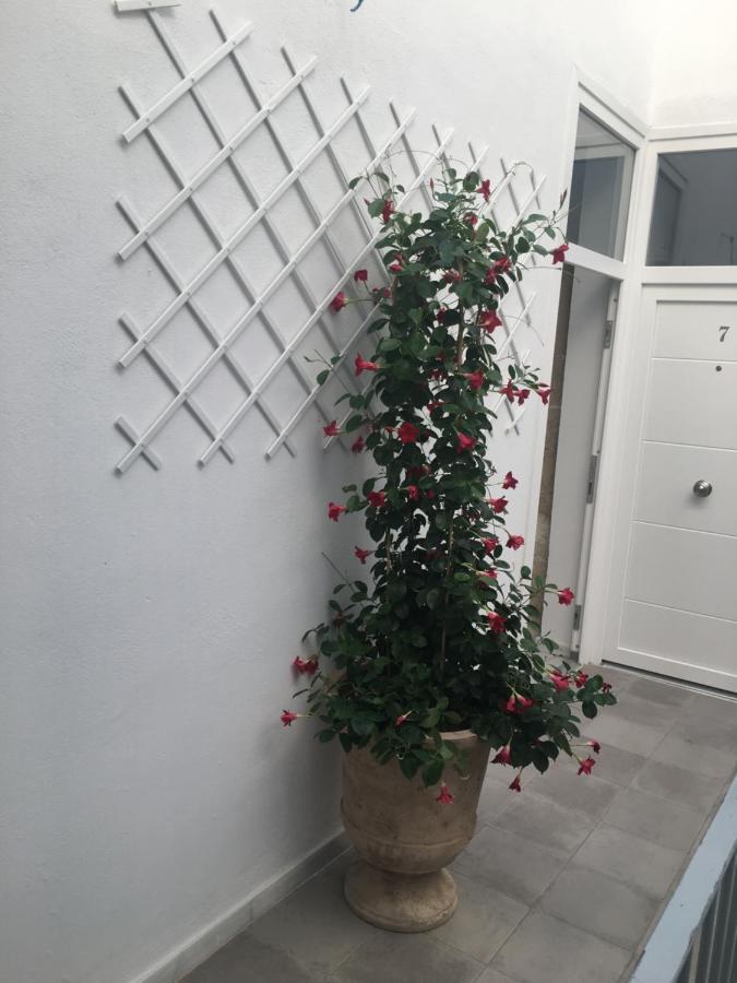 Appartamento Loft Xerez Centro Jerez de la Frontera Esterno foto